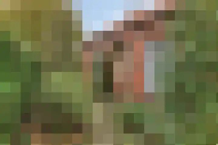 De Stad 15 Hooge Mierde thumbnail 5
