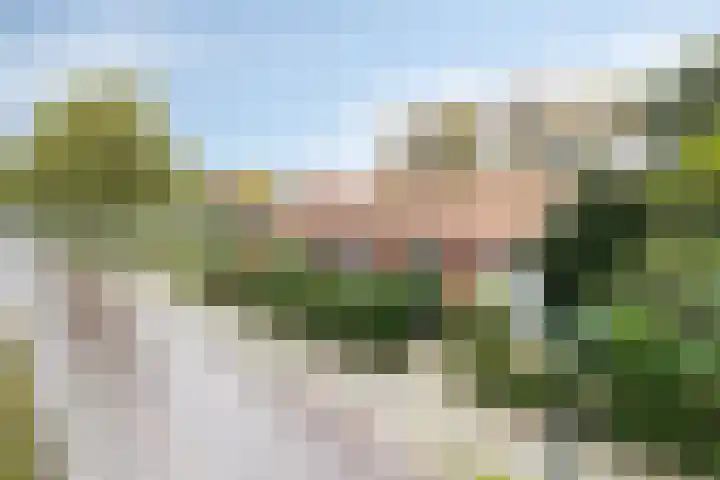 De Stad 15 Hooge Mierde thumbnail 6