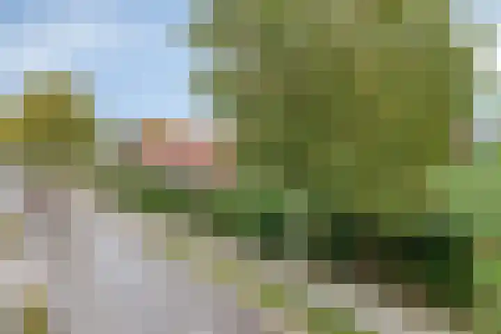 De Stad 15 Hooge Mierde thumbnail 7