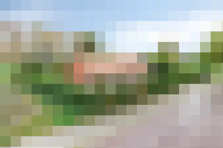 De Stad 15 Hooge Mierde thumbnail 8