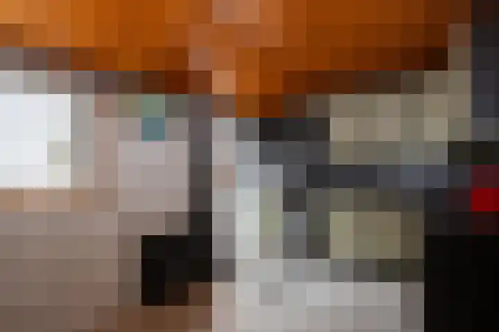 De Stad 24 Hooge Mierde thumbnail 12
