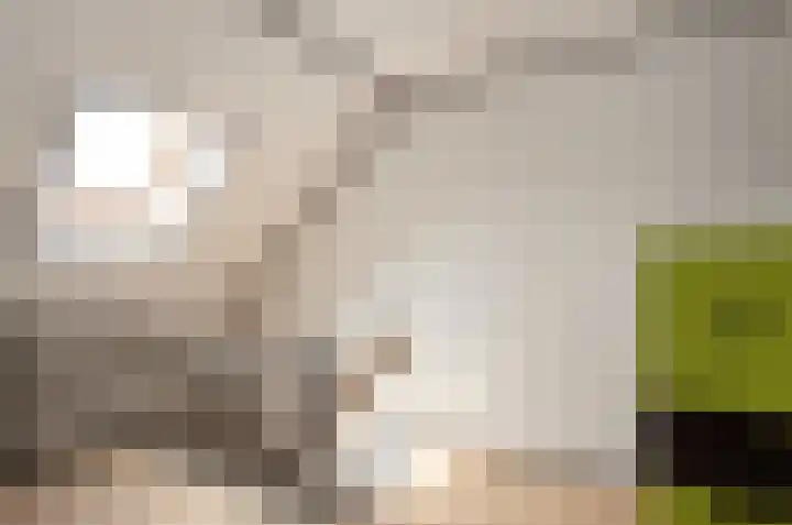 De Stad 24 Hooge Mierde thumbnail 14