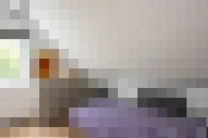 De Stad 24 Hooge Mierde thumbnail 15