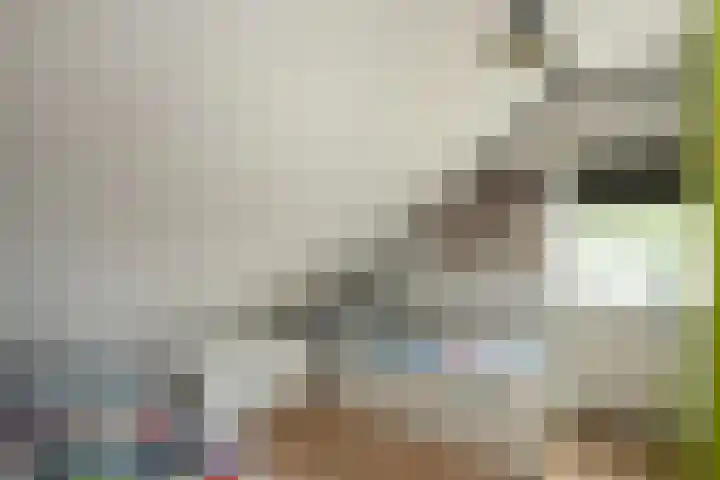 De Stad 24 Hooge Mierde thumbnail 16
