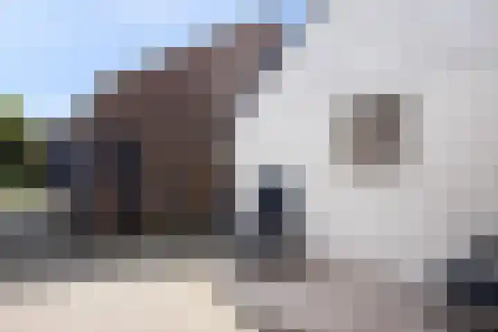 De Stad 24 Hooge Mierde thumbnail 17