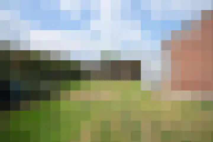 De Stad 24 Hooge Mierde thumbnail 20
