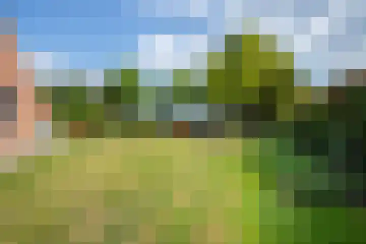 De Stad 24 Hooge Mierde thumbnail 21