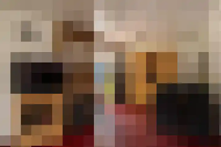 De Stad 24 Hooge Mierde thumbnail 5