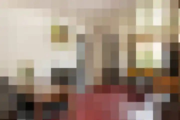 De Stad 24 Hooge Mierde thumbnail 6