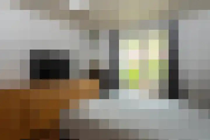 De Stad 24 Hooge Mierde thumbnail 9