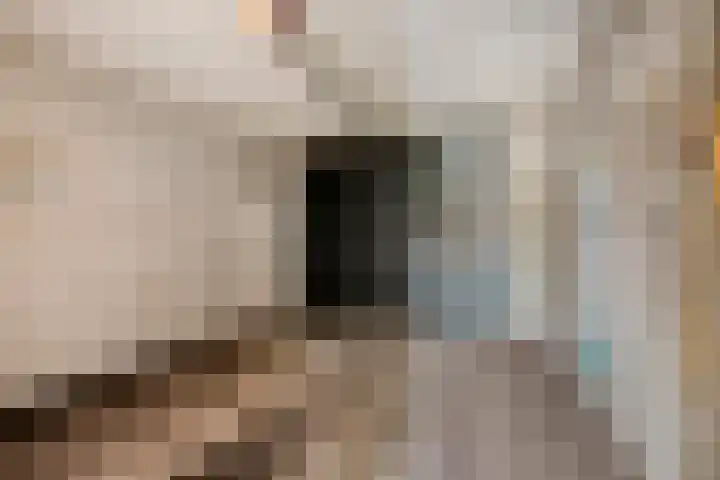 De Stad 6 Veghel thumbnail 30