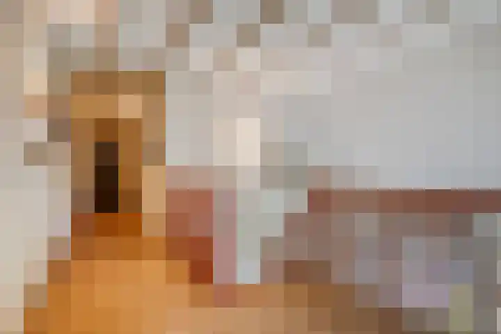 De Stad 6 Veghel thumbnail 31