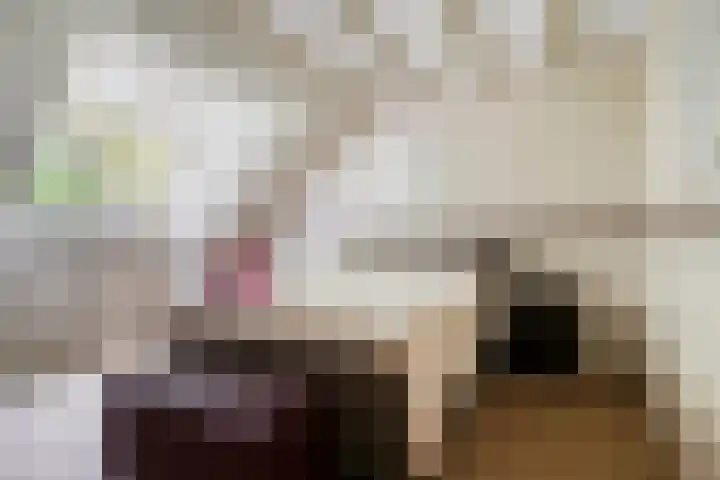 De Stad 6 Veghel thumbnail 39