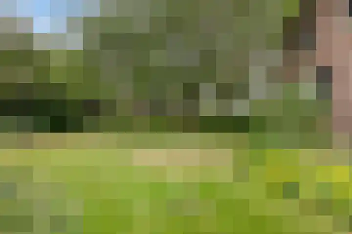 De Stad 6 Veghel thumbnail 4