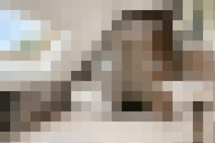 De Stad 6 Veghel thumbnail 41