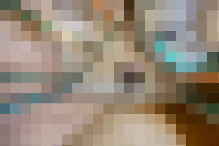 De Stad 6 Veghel thumbnail 47