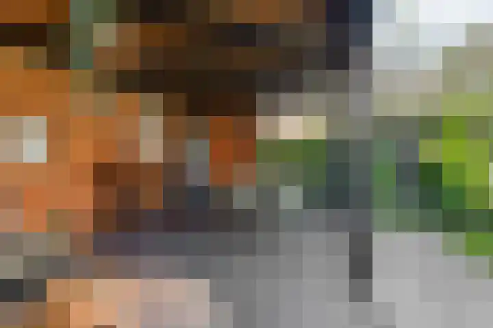 De Stad 6 Veghel thumbnail 48