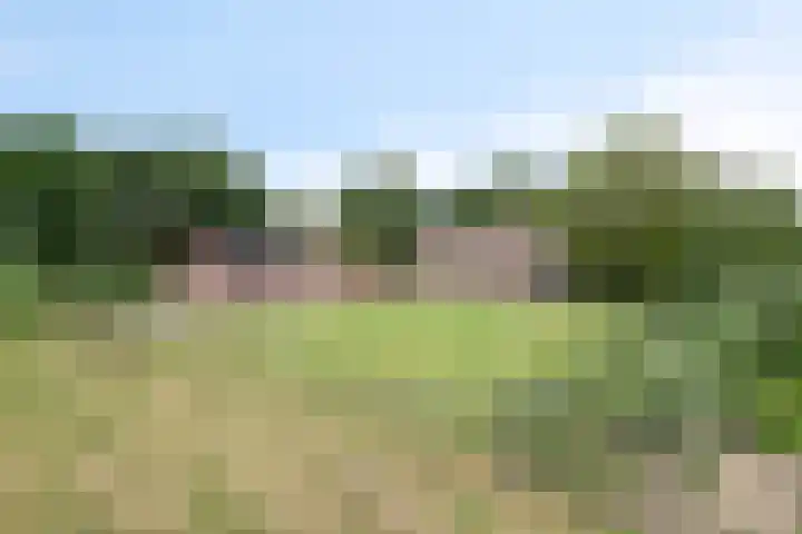 De Stad 6 Veghel thumbnail 56