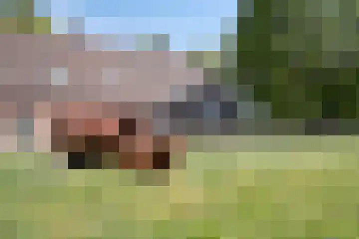 De Stad 6 Veghel thumbnail 59