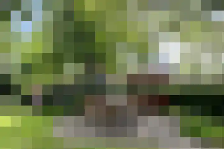 De Stad 6 Veghel thumbnail 60