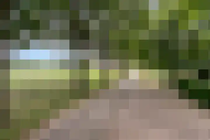 De Stad 6 Veghel thumbnail 69