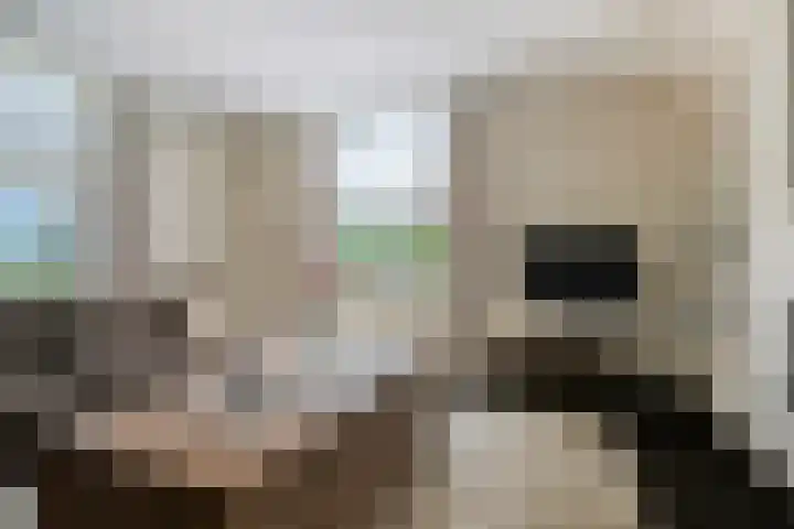 De Stad 6 Veghel thumbnail 8