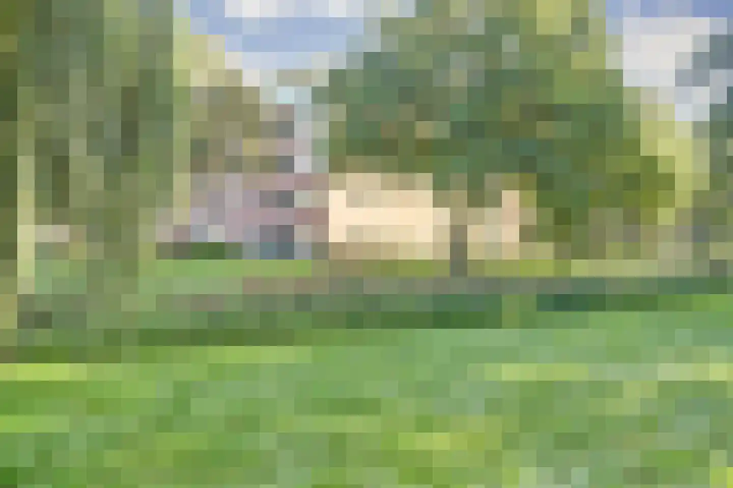 De Stag 100 Dronten thumbnail 33