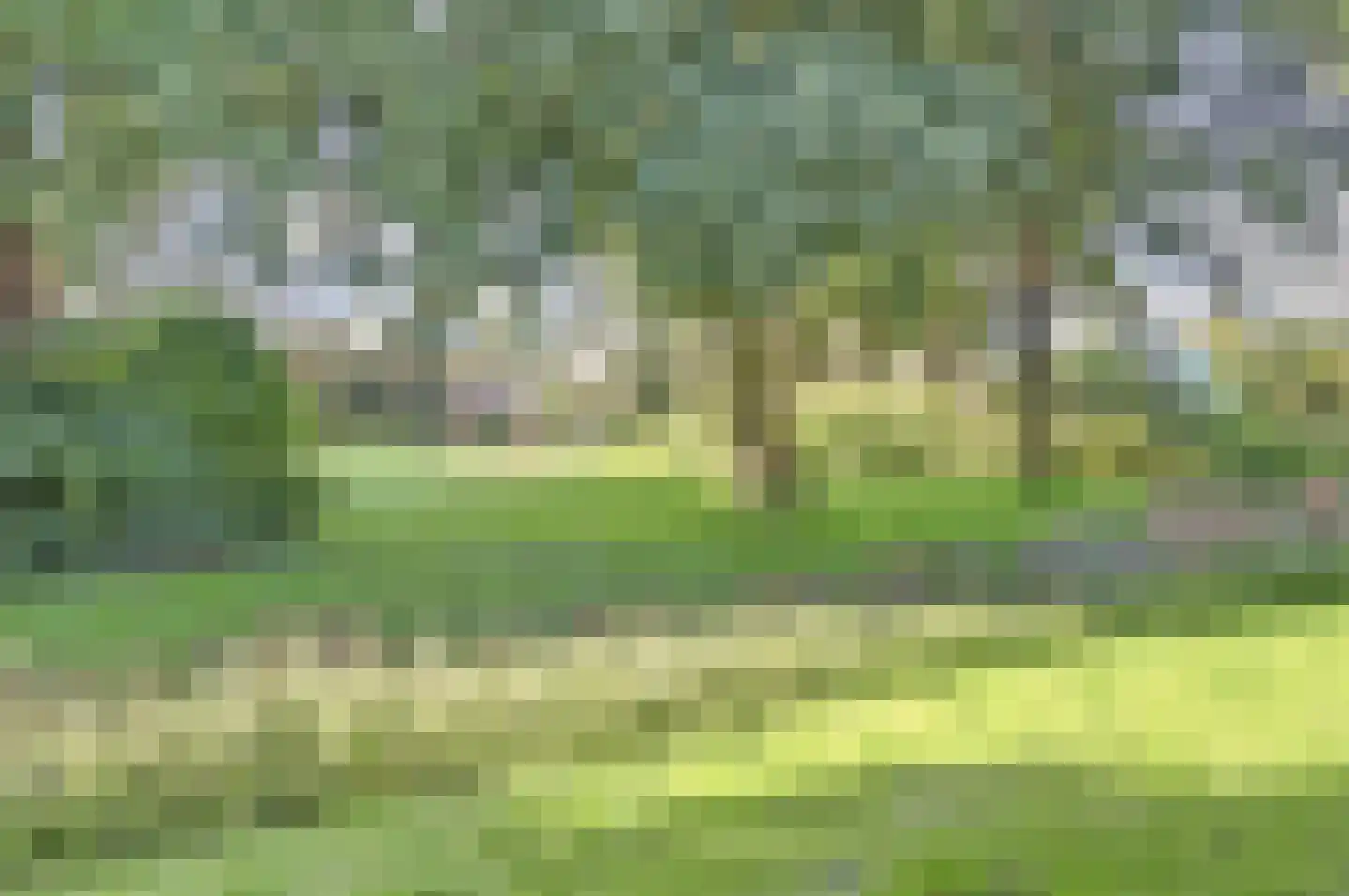 De Stag 100 Dronten thumbnail 34