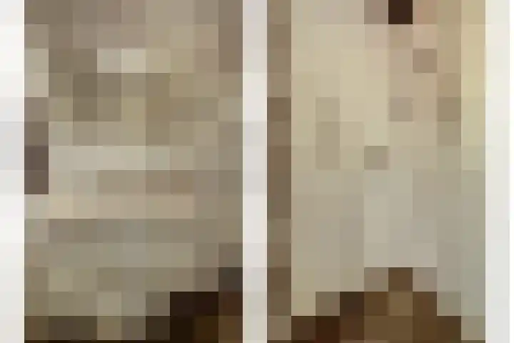 De Stag 106 Dronten thumbnail 27