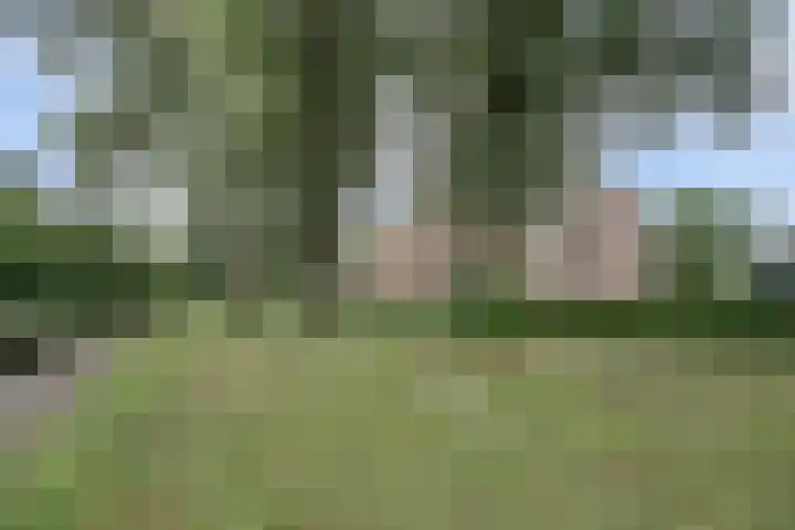 De Stag 106 Dronten thumbnail 33