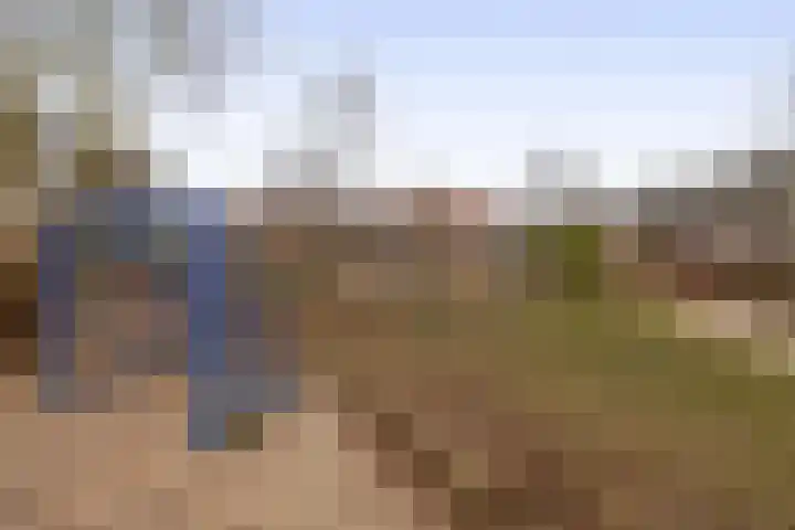 De Stag 106 Dronten thumbnail 7