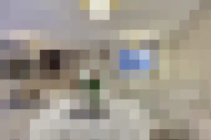 De Stag 130 Dronten thumbnail 11