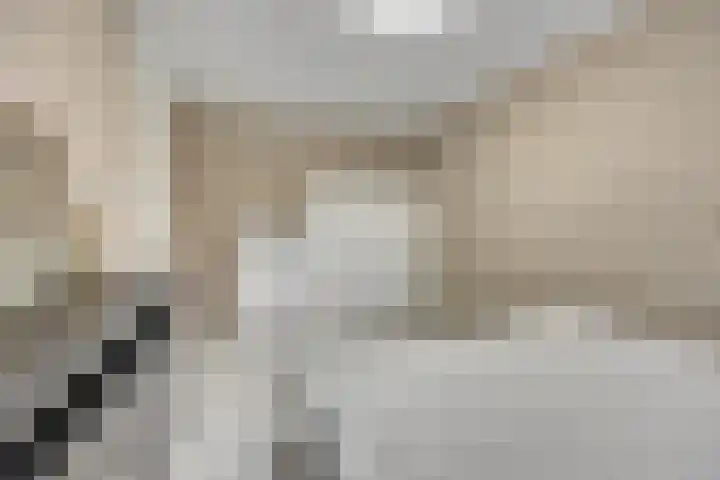 De Stag 130 Dronten thumbnail 19