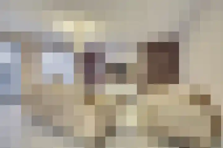 De Stag 130 Dronten foto 2