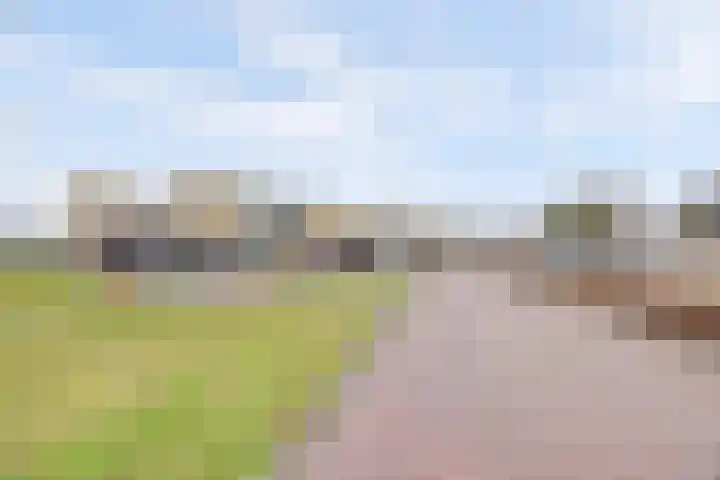 De Stag 130 Dronten thumbnail 36