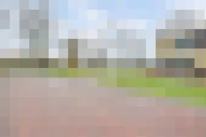 De Stag 130 Dronten thumbnail 37