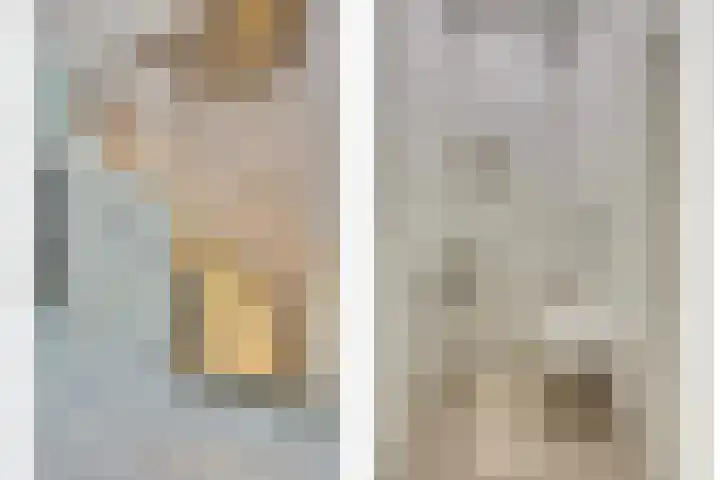 De Stag 130 Dronten thumbnail 7