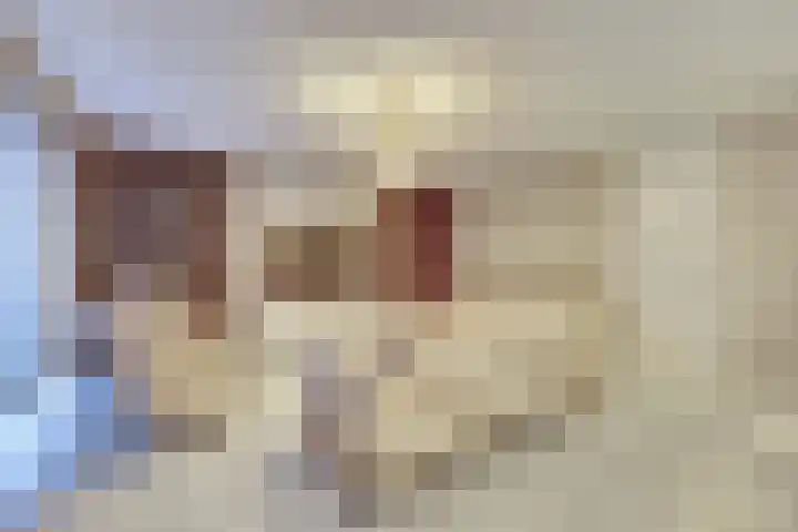 De Stag 130 Dronten thumbnail 9