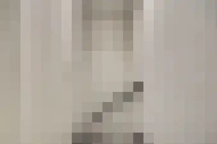 De Stag 30 Dronten thumbnail 12