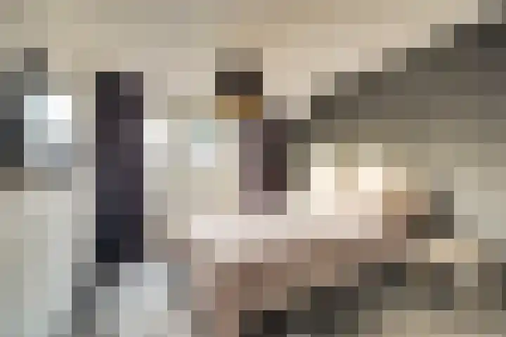 De Stag 30 Dronten thumbnail 16