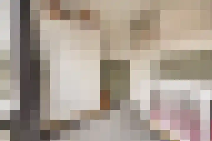 De Stag 30 Dronten thumbnail 18