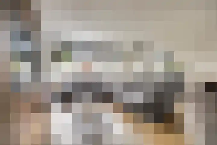 De Stag 30 Dronten foto 2