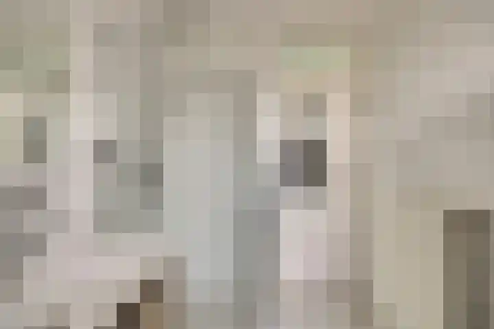 De Stag 30 Dronten thumbnail 21