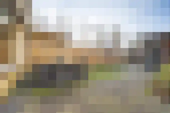 De Stag 30 Dronten thumbnail 23