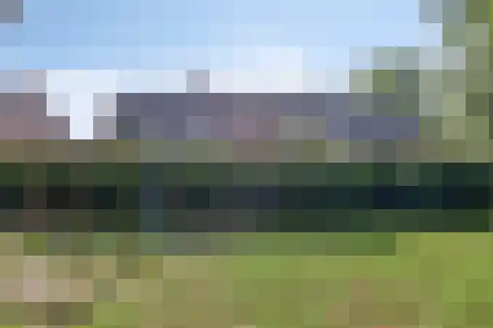 De Stag 30 Dronten thumbnail 24