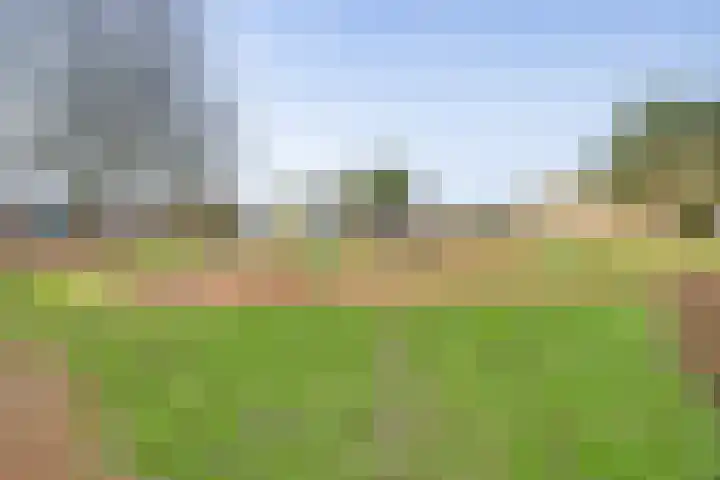 De Stag 30 Dronten thumbnail 26