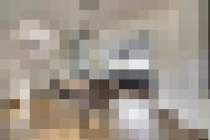 De Stag 30 Dronten foto 3