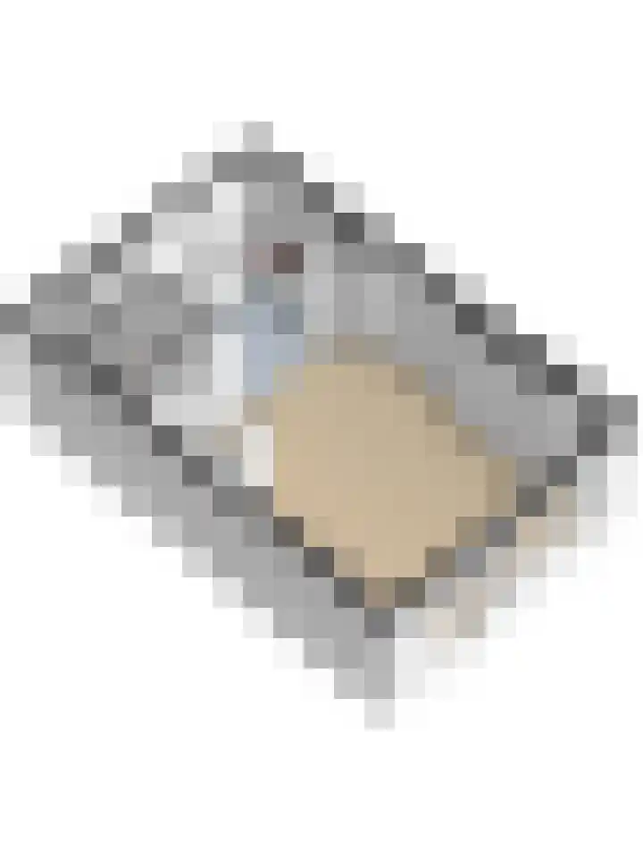 De Stag 30 Dronten thumbnail 35