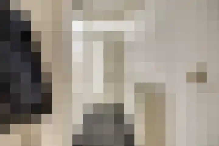 De Stag 30 Dronten thumbnail 6