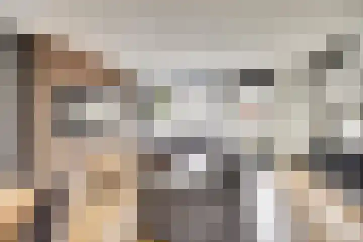 De Stag 30 Dronten thumbnail 9